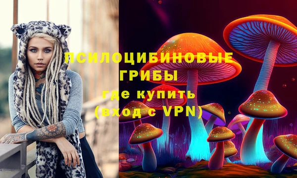 прущие грибы Абаза