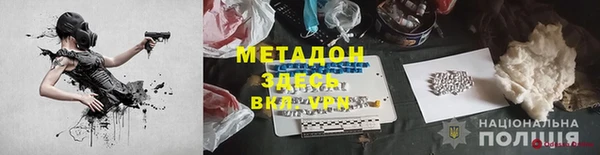 прущие грибы Абаза