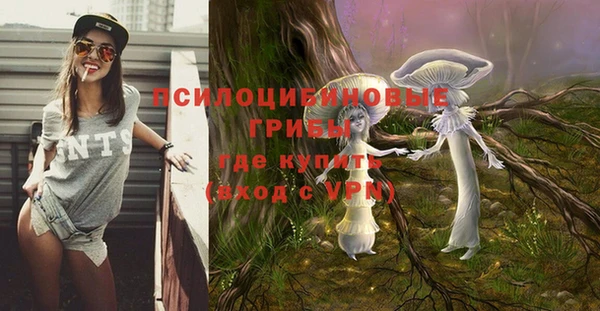 амфетамин Алексин