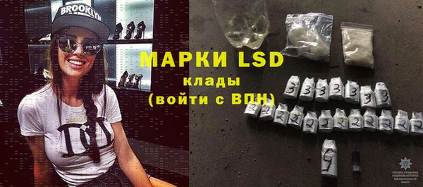 прущие грибы Абаза