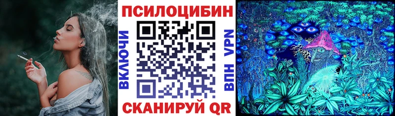 Галлюциногенные грибы GOLDEN TEACHER  цены   Нюрба 
